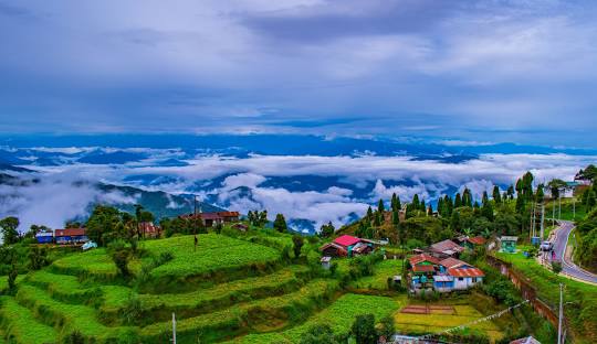 Darjeeling Delight: 6-Day Tour